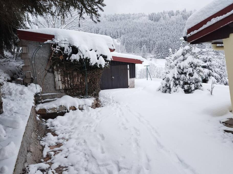 Maison De Montagne Vue Magnifique Ventron Exteriör bild