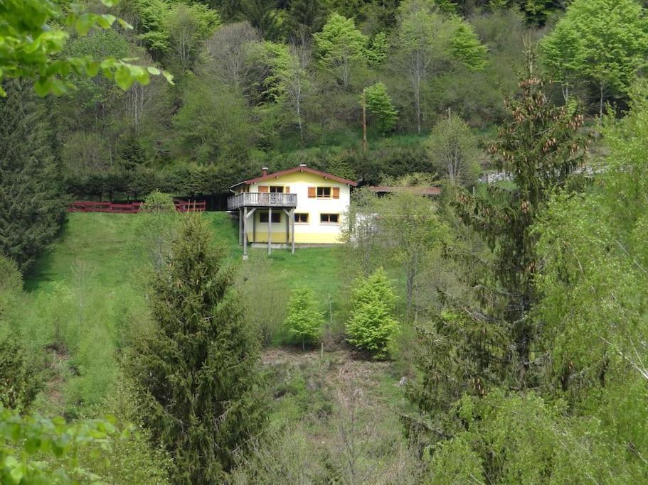 Maison De Montagne Vue Magnifique Ventron Exteriör bild